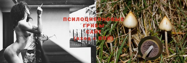 Альфа ПВП Балахна