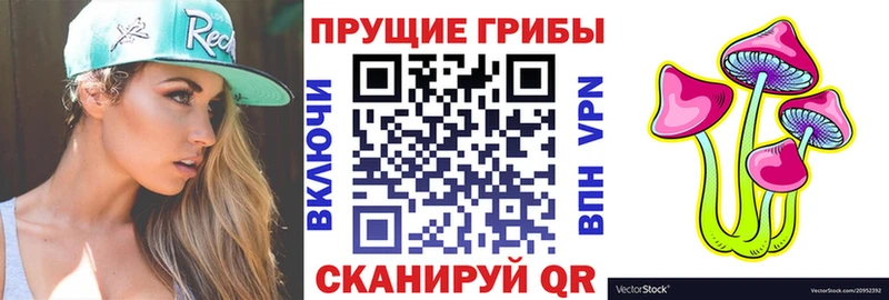 Псилоцибиновые грибы GOLDEN TEACHER  OMG ONION  Большой Камень 